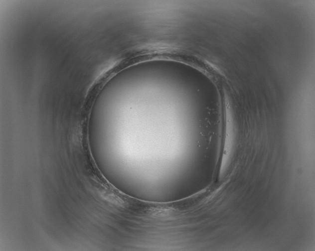 X0000054381309200508121556