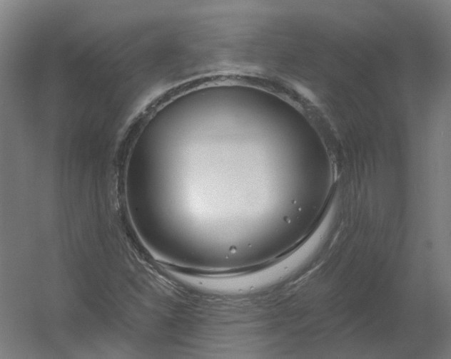 X0000054381310200508121556