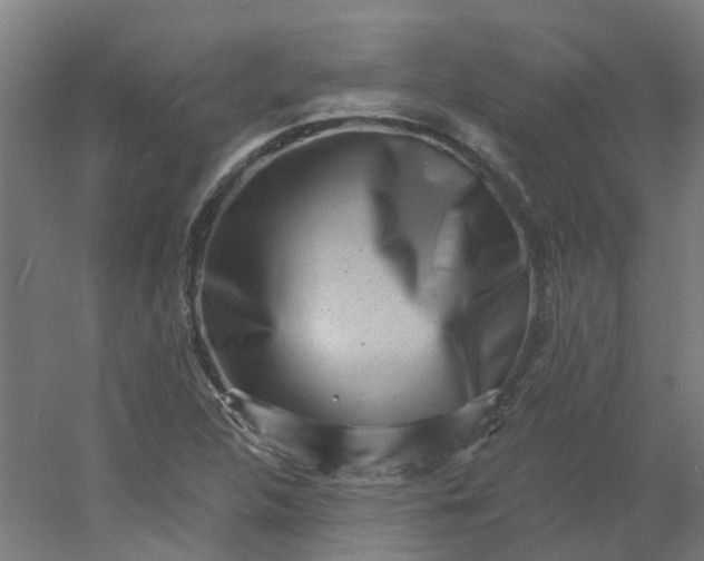 X0000054381312200508121556