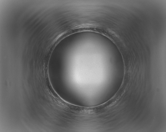 X0000054381313200508121556