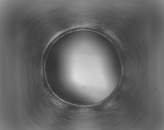 X0000054381316200508121556