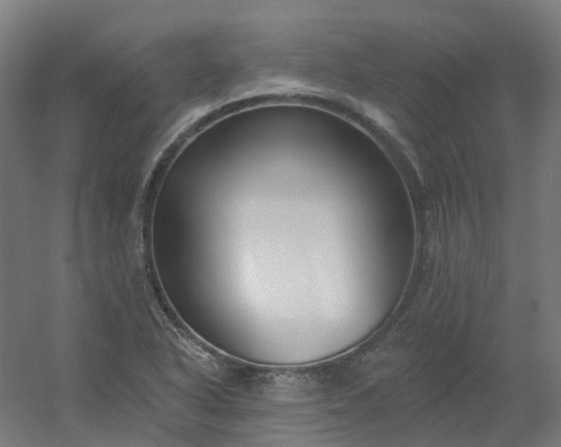 X0000054381318200508121556