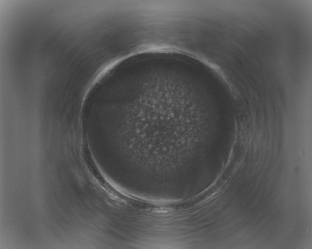 X0000054381319200508121556
