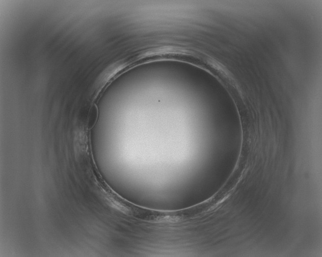 X0000054381321200508121556