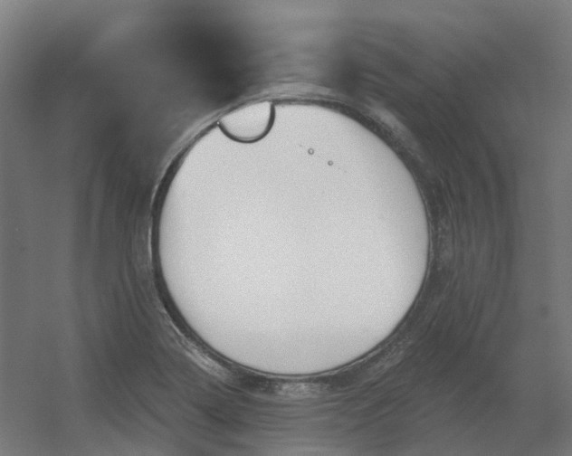 X0000054381322200508121556