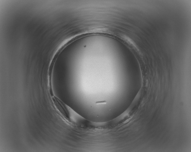 X0000054381324200508121556