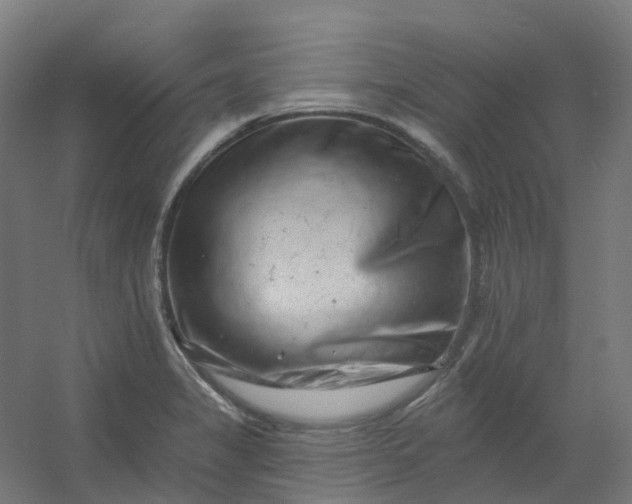 X0000054381325200508121556