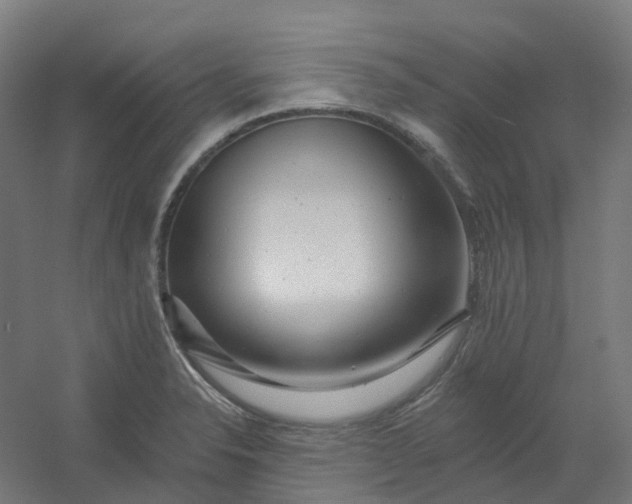 X0000054381326200508121556