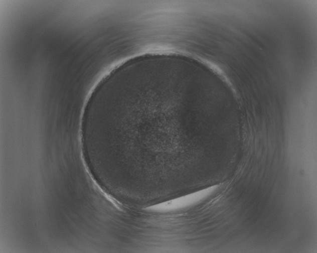 X0000054381327200508121556