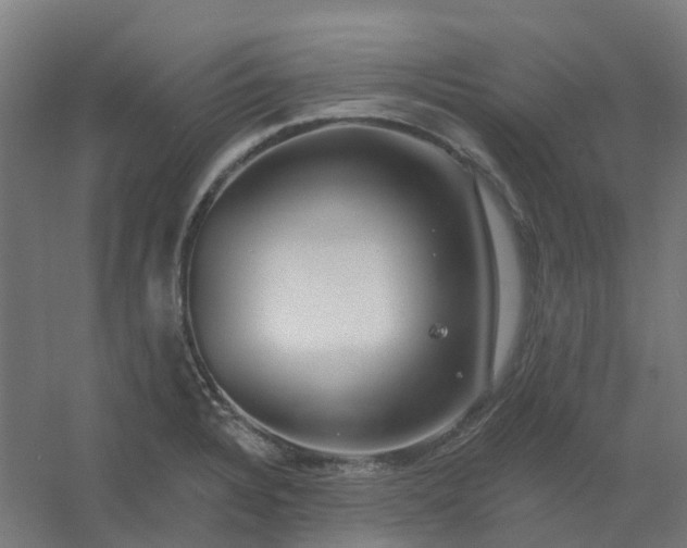 X0000054381328200508121556