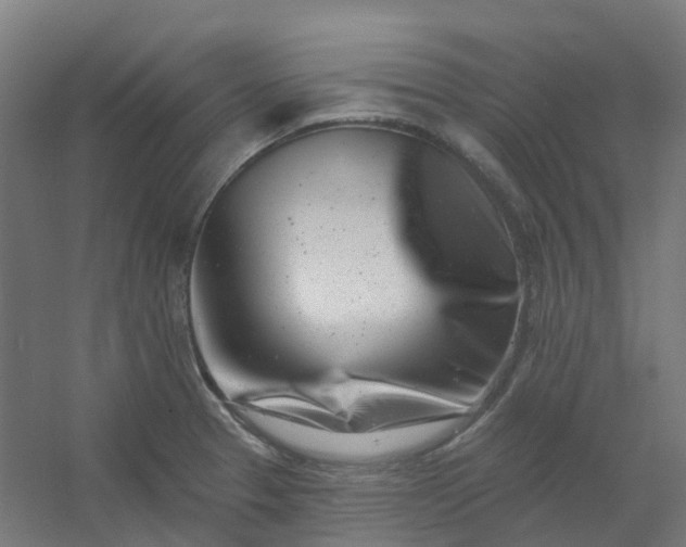 X0000054381329200508121556