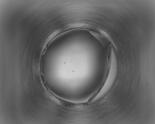 X0000054381330200508121556
