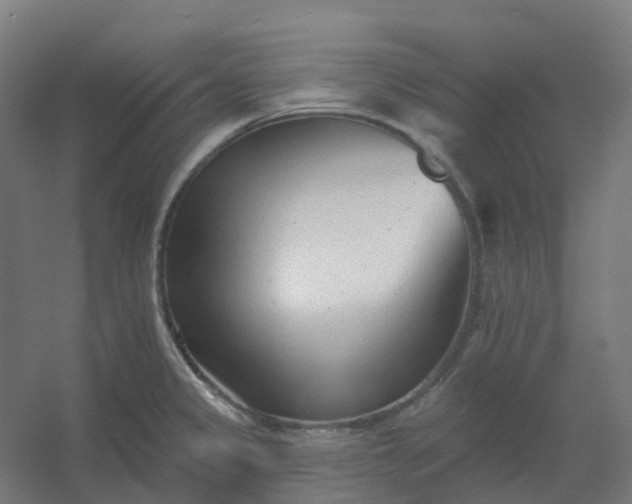 X0000054381333200508121556