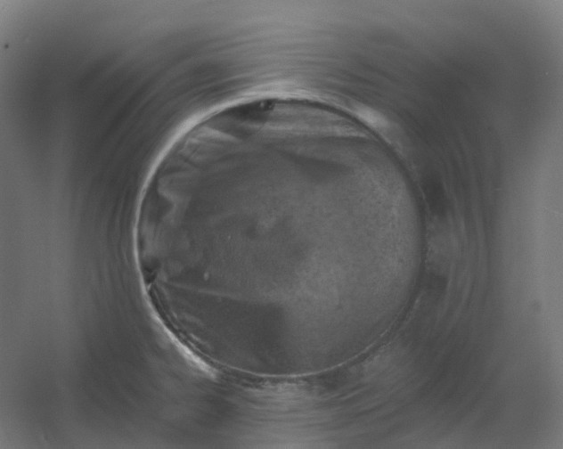 X0000054381334200508121556