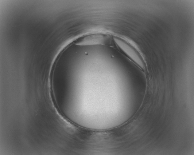 X0000054381335200508121556