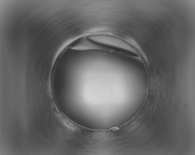 X0000054381336200508121556