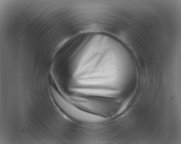 X0000054381337200508121556