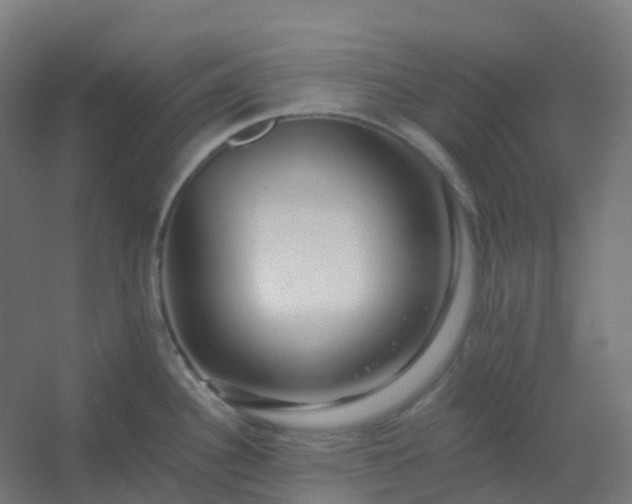 X0000054381340200508121556