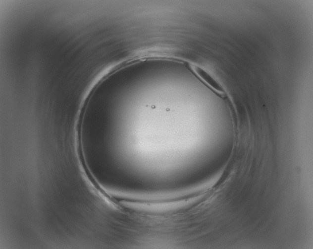 X0000054381341200508121556
