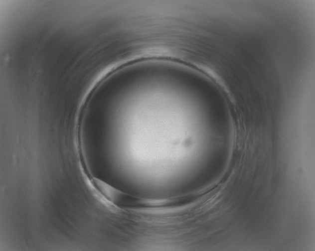 X0000054381342200508121556