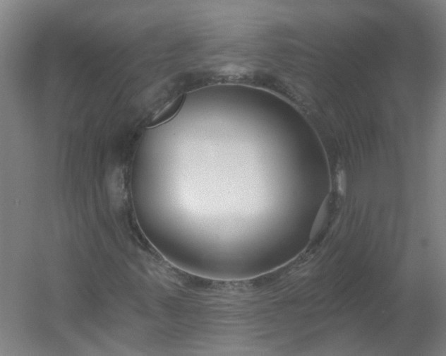 X0000054381347200508121556
