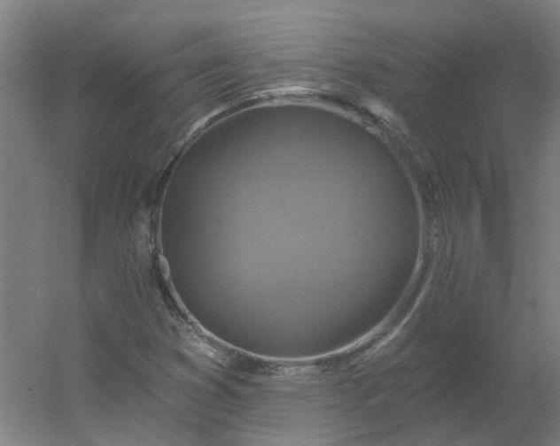 X0000054381353200508121555