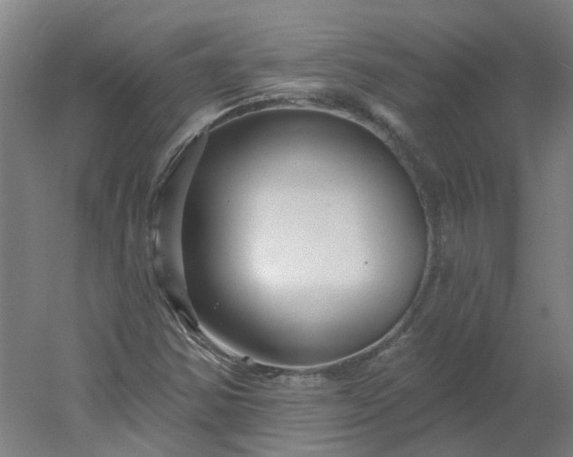 X0000054381354200508121555