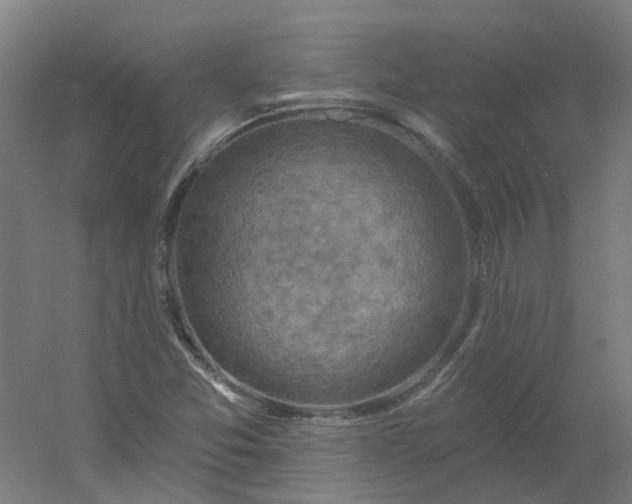 X0000054381357200508121555