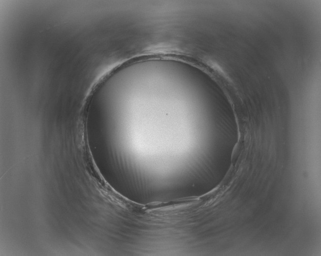 X0000054381358200508121555