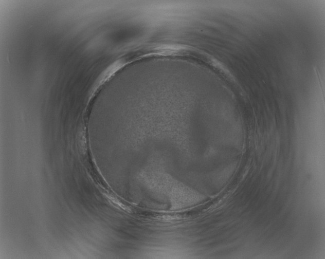 X0000054381362200508121555