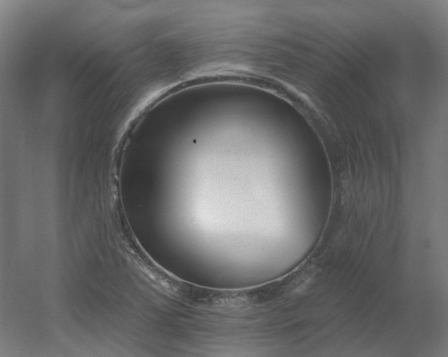 X0000054381363200508121555