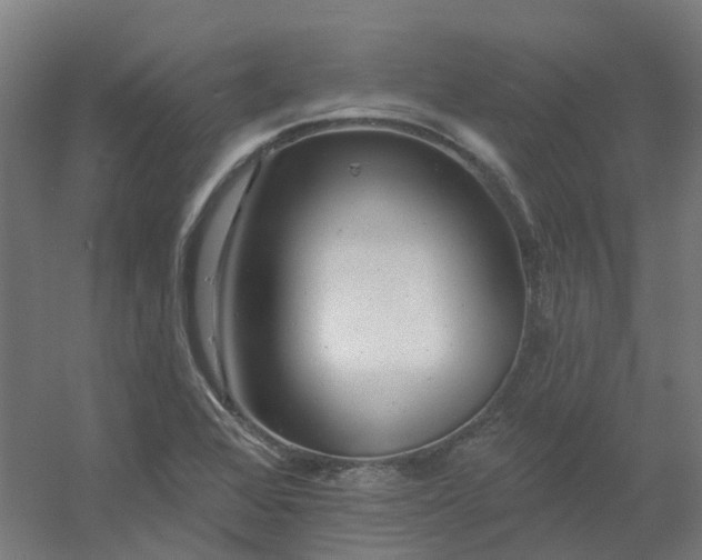 X0000054381368200508121555