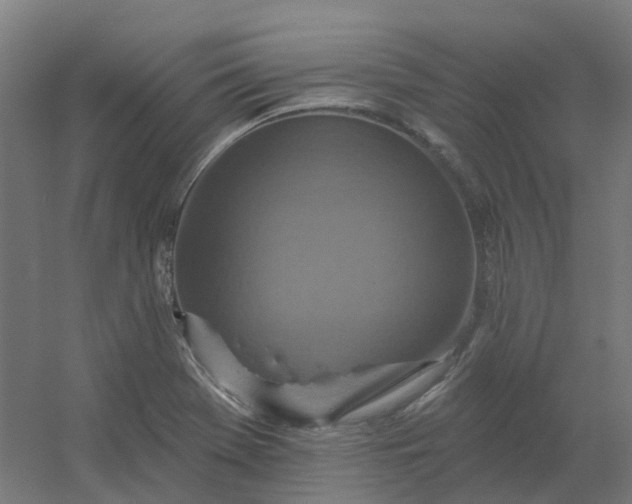 X0000054381369200508121555