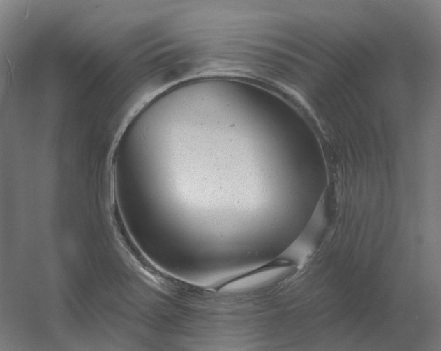 X0000054381371200508121555