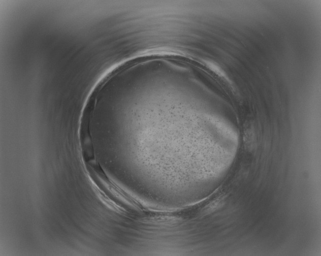 X0000054381372200508121555