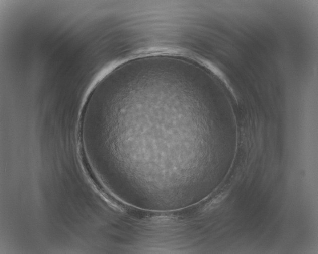X0000054381373200508121555