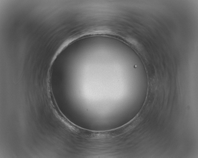 X0000054381374200508121555