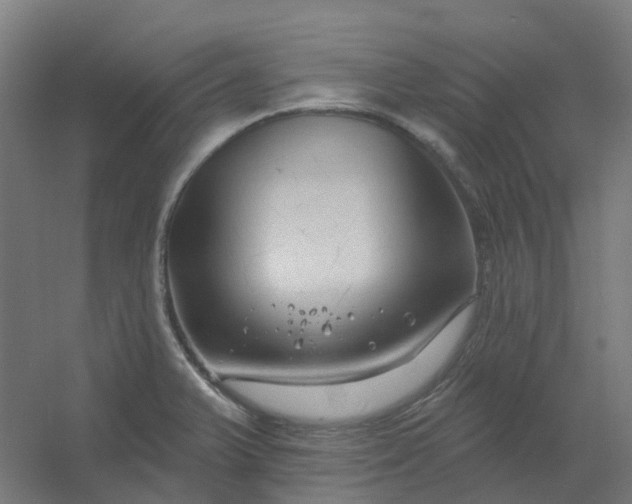 X0000054381375200508121555