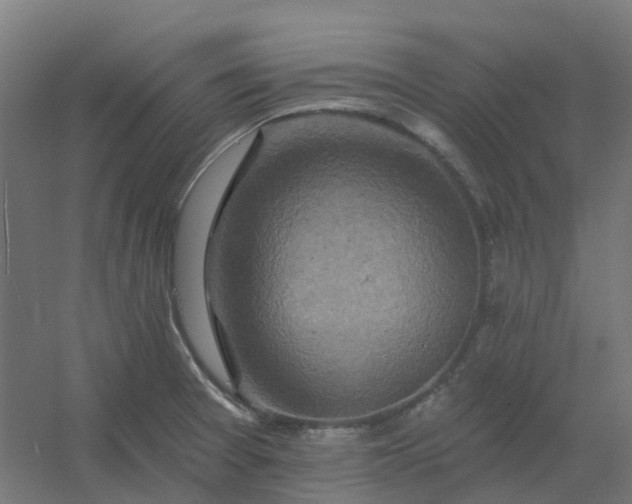 X0000054381377200508121555