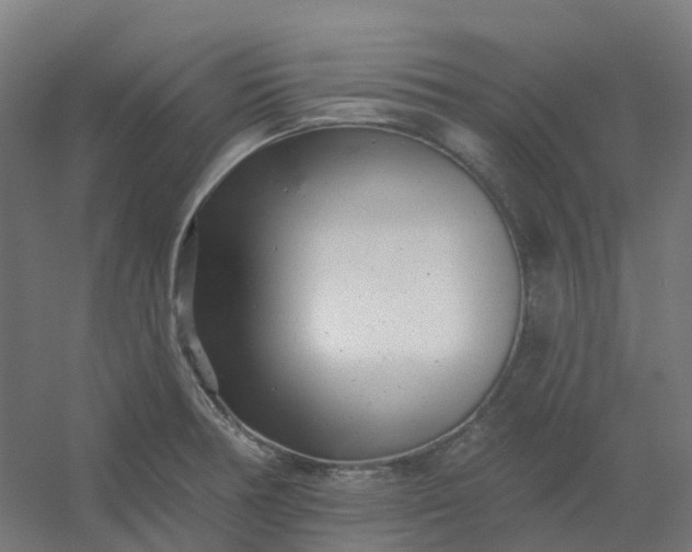 X0000054381378200508121555