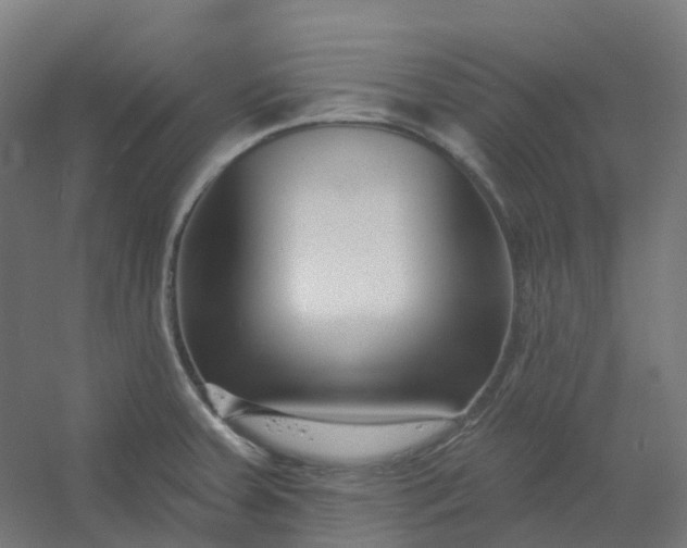 X0000054381379200508121555
