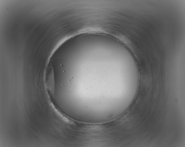 X0000054381382200508121555