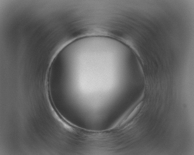 X0000054381387200508121555