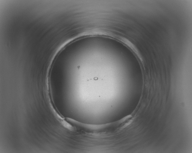 X0000054381388200508121555