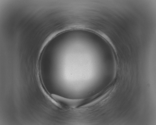 X0000054381389200508121555
