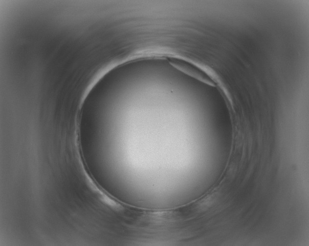 X0000054381390200508121555