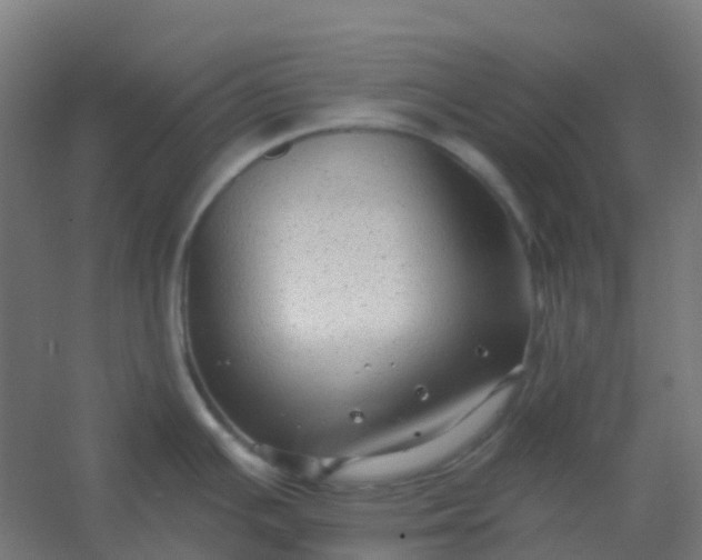 X0000054381391200508121555