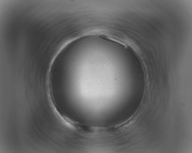 X0000054381392200508121555