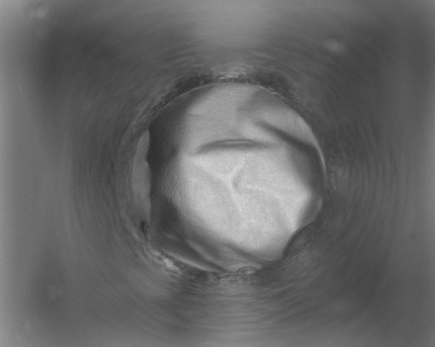 X0000054381393200508121554