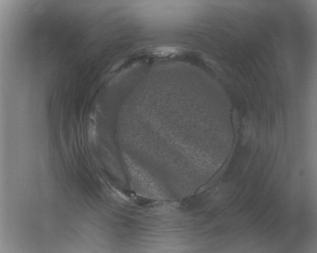 X0000054381394200508121554